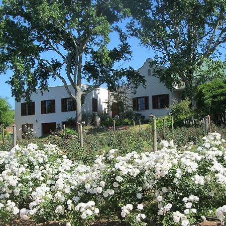 Willa Aan-Den-Weg Stellenbosch Zewnętrze zdjęcie