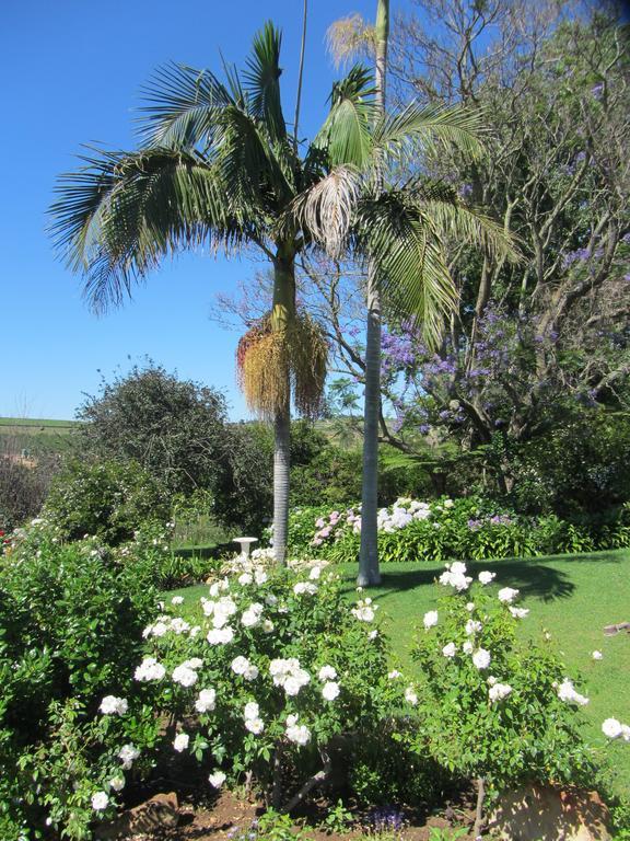 Willa Aan-Den-Weg Stellenbosch Zewnętrze zdjęcie