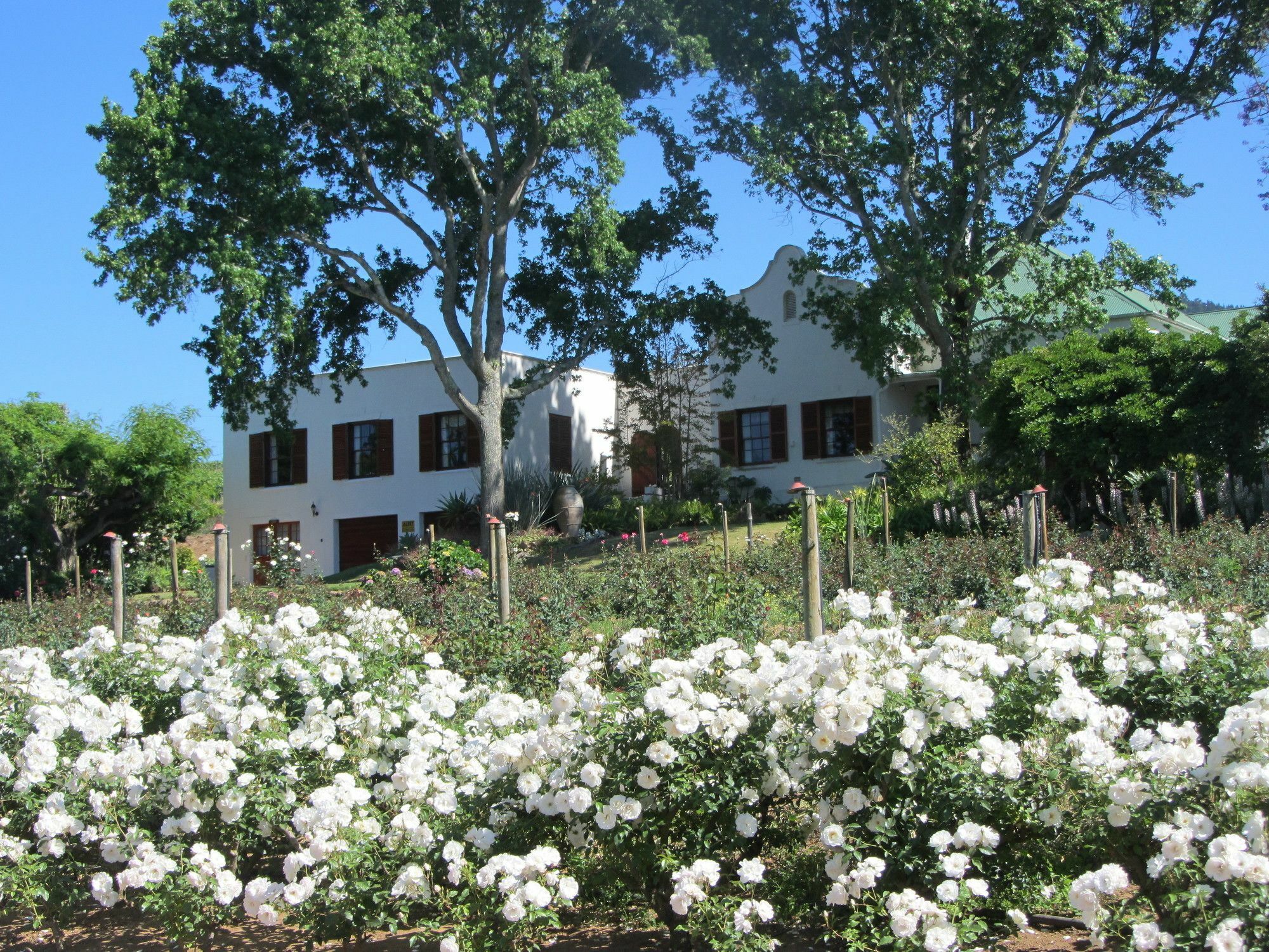 Willa Aan-Den-Weg Stellenbosch Zewnętrze zdjęcie