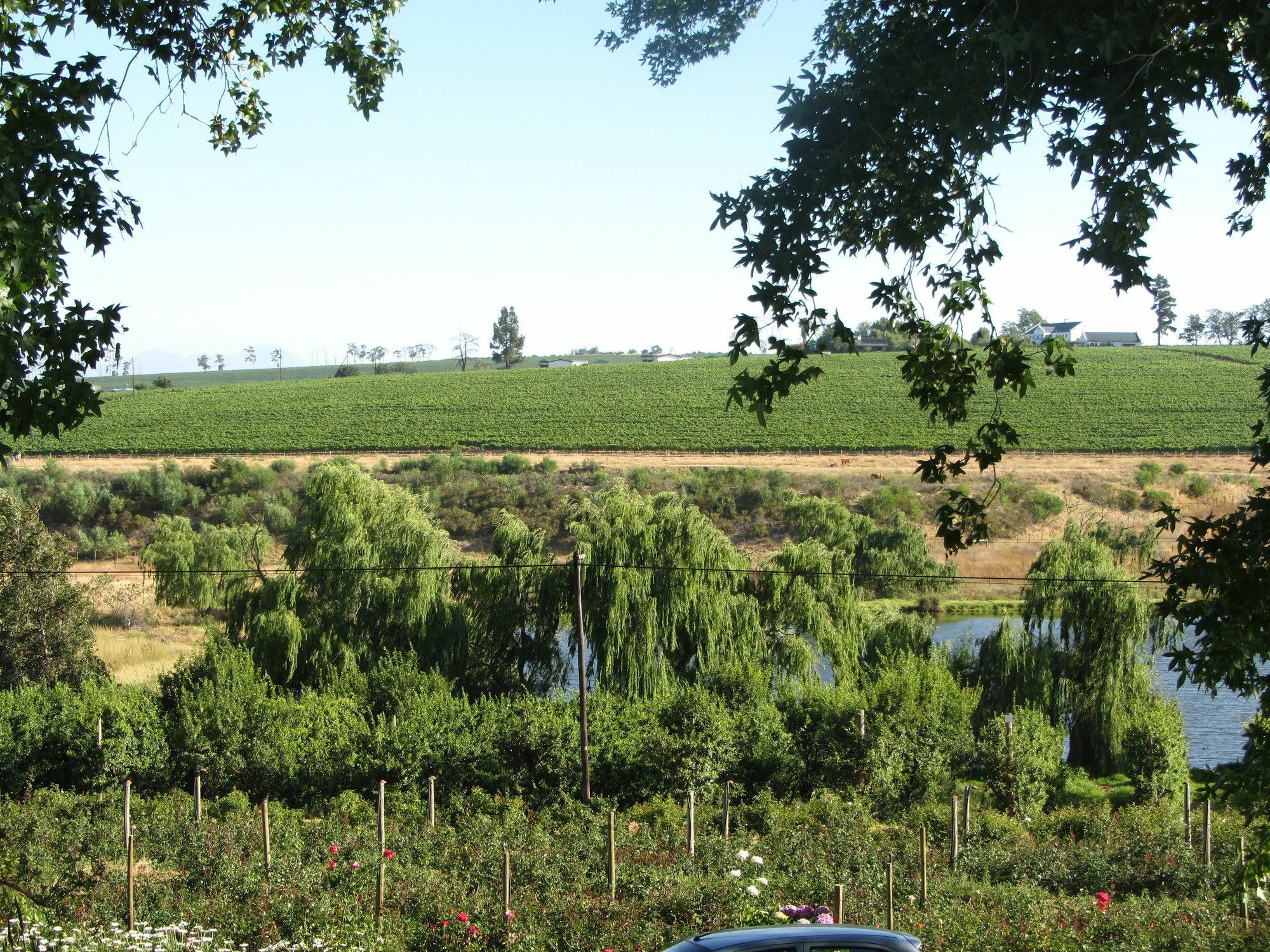 Willa Aan-Den-Weg Stellenbosch Zewnętrze zdjęcie